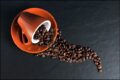 Kaffeeliebe: Auf die Bohne kommt es an